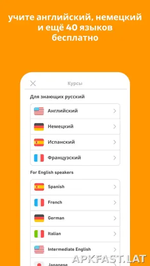 Дуолинго скриншот 6